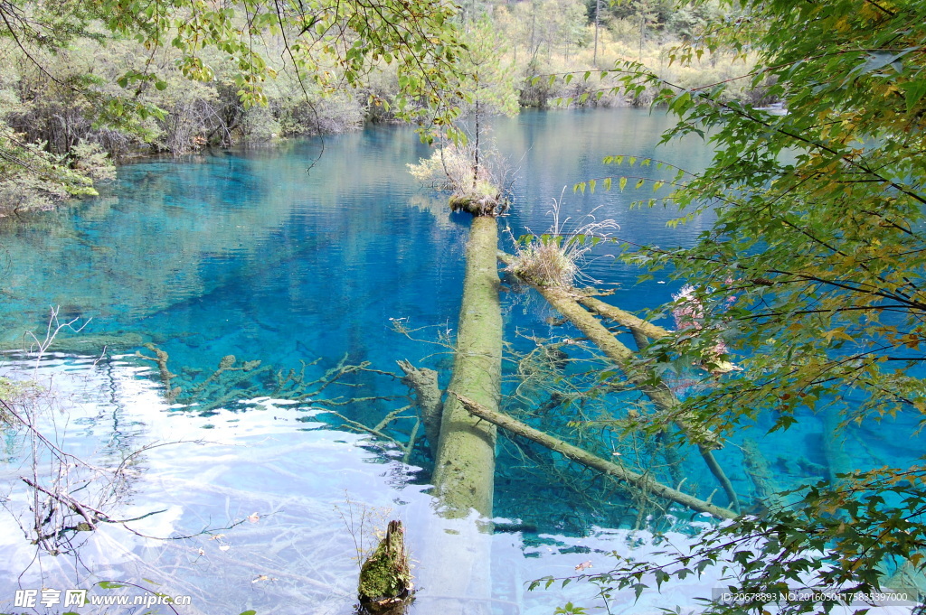 九寨沟