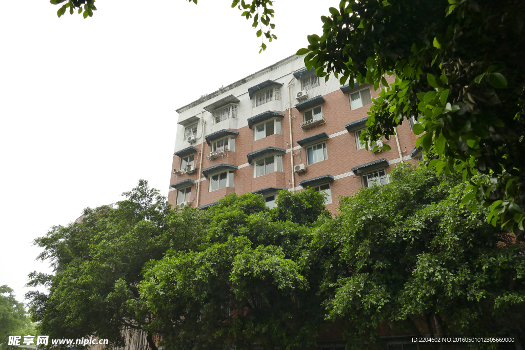 绿树掩隐的小区民居