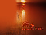 影楼唯美梦幻相片背景底纹