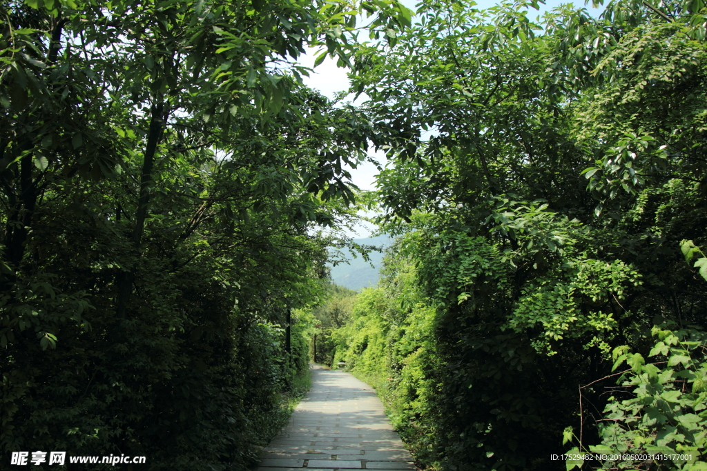 登山小道