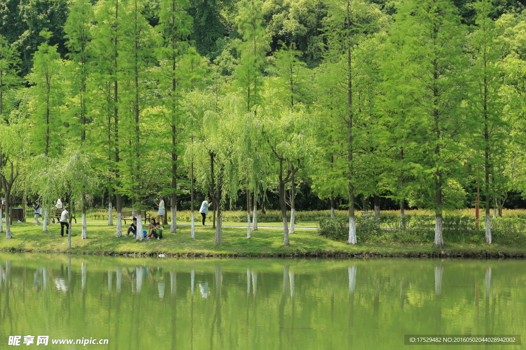 杭州市富阳区东吴公园风景