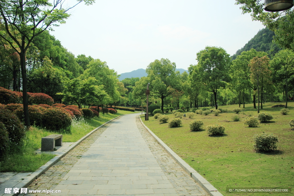 公园小路风景