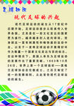 足球知识现代足球的兴起