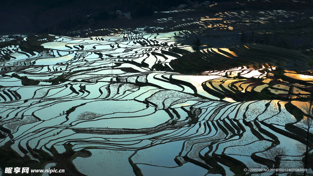 元阳梯田