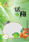 话梅包装