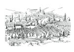 手绘葡萄园 庄园 红酒酒标图
