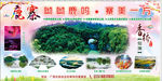 旅游宣传画 旅游海报
