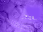 影楼唯美梦幻背景底纹