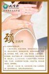 肩部调理