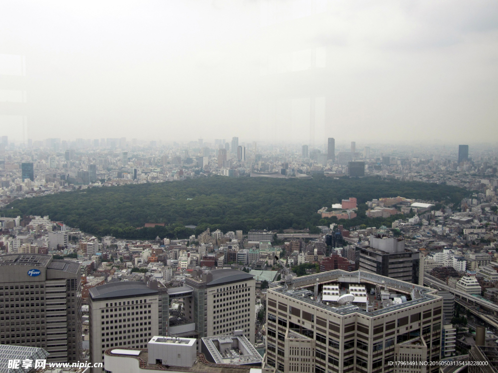 东京景观