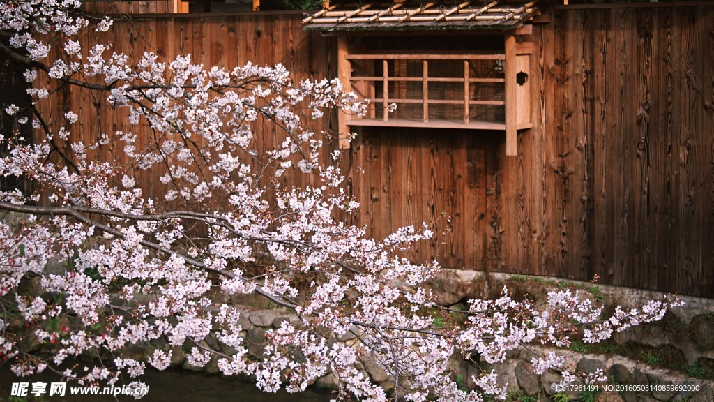 青莲寺