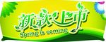 新款上市