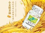 维生素E海报