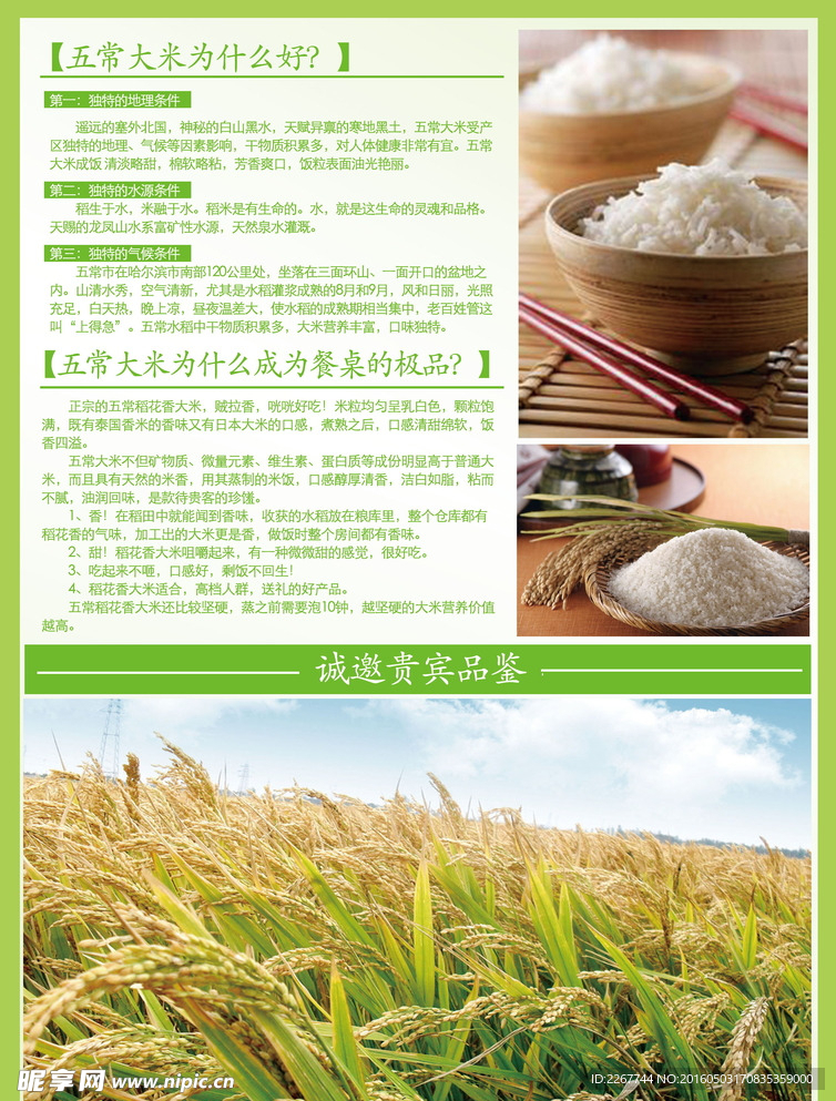 五常大米宣传页