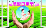 母亲节素材