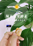 尚初辣木水果酵素