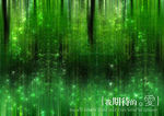影楼相片处理梦幻背景底纹模板