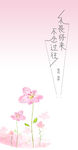 不畏将来不念过往