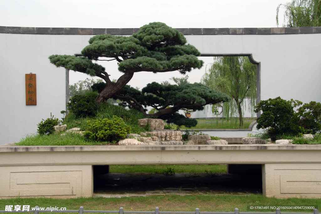 扬州盆景