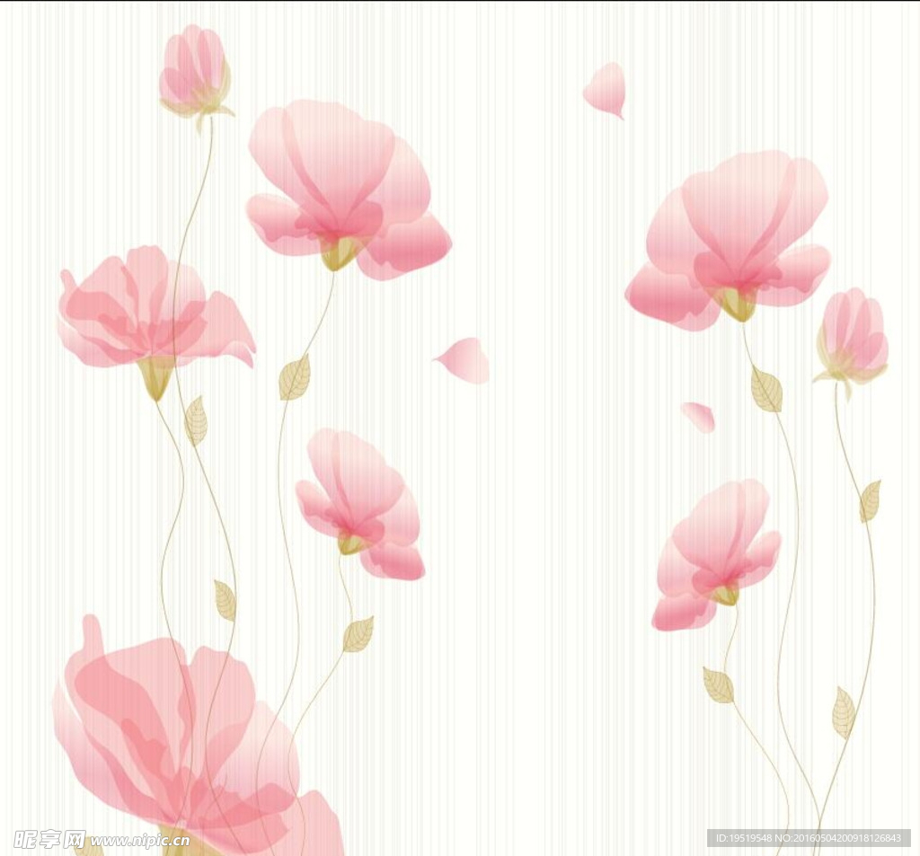 透明红花