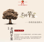 苹果详情页