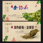 金银花