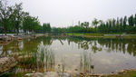 乐园风景