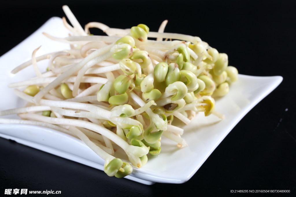 豆芽