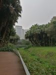 莲花山