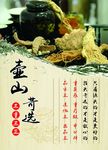 中药材海报