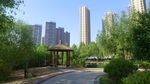茅草屋与高楼大厦