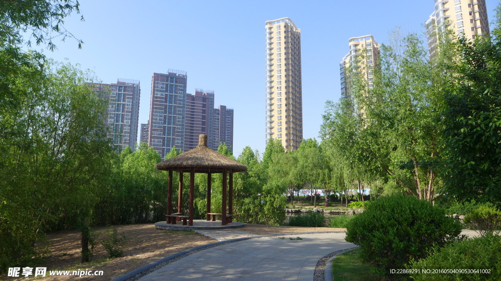 茅草屋与高楼大厦