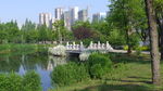 春天公园小桥