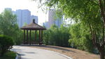 城市公园