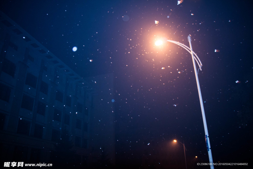 下雪时的路灯
