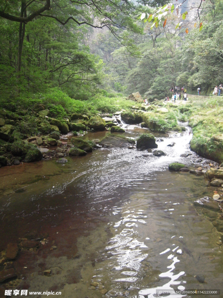 金鞭溪山水风景