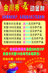 金川秀海报