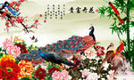 富贵花开