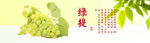 绿提