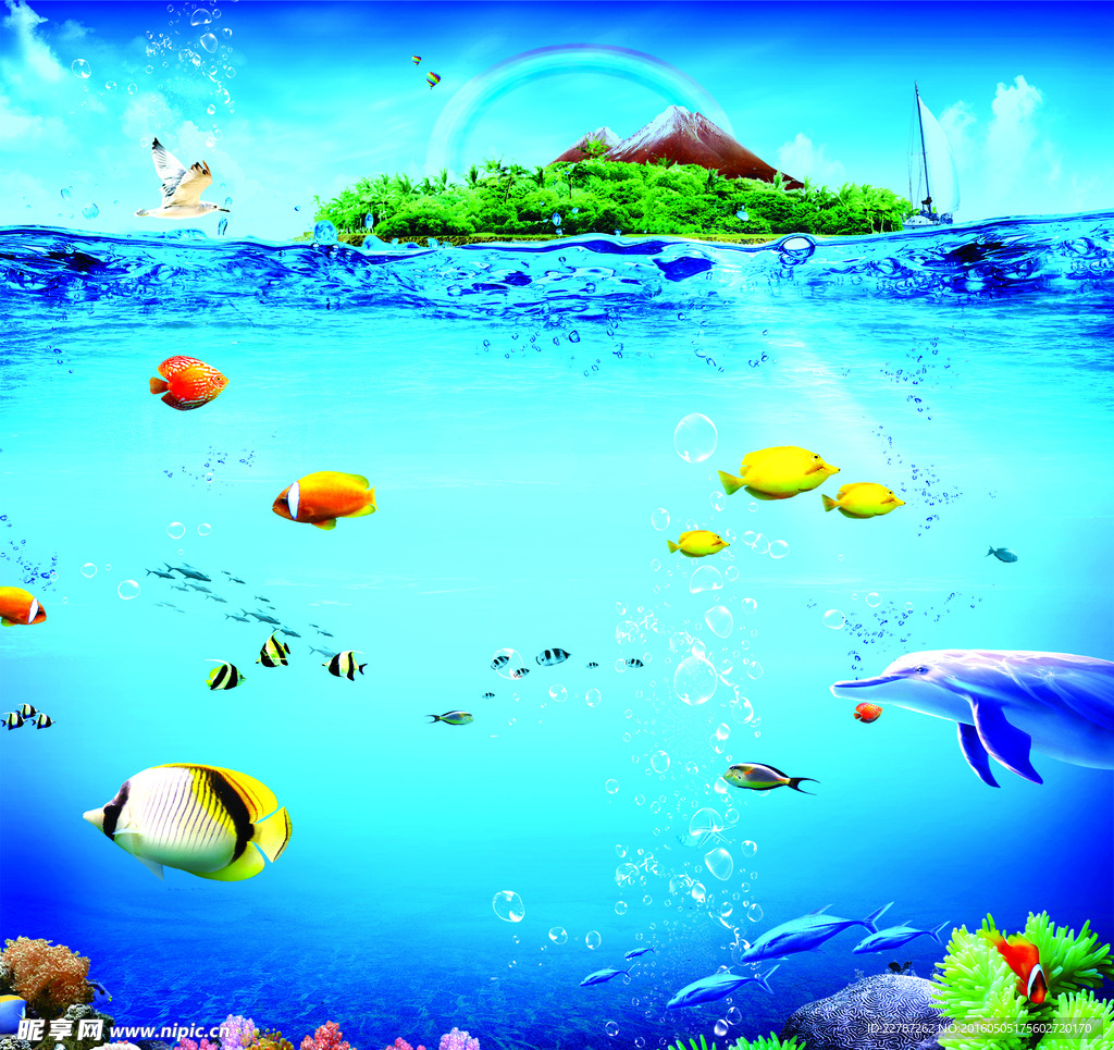 海洋