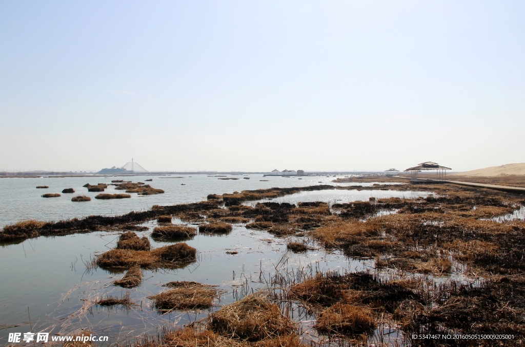 银川沙湖风光