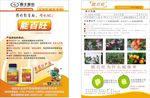 能百旺宣传单