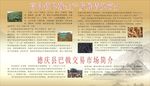巴戟市场简介