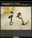 龍