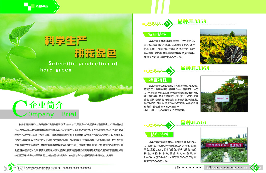 企业简介PSD画册模板