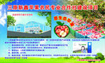 苹果冷库