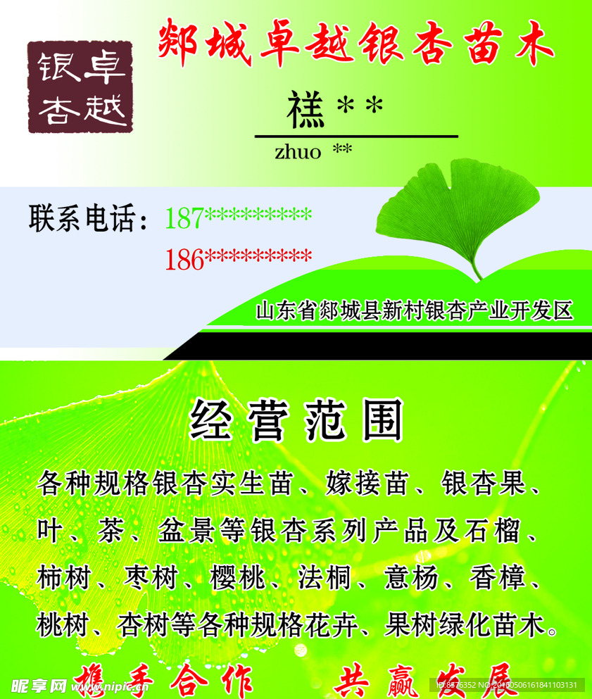 银杏名片