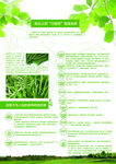 绿色农产品高端产业传单