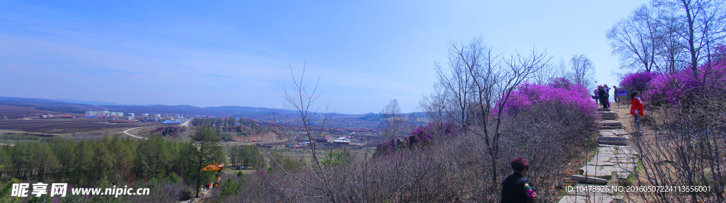 春暖花开风景图片