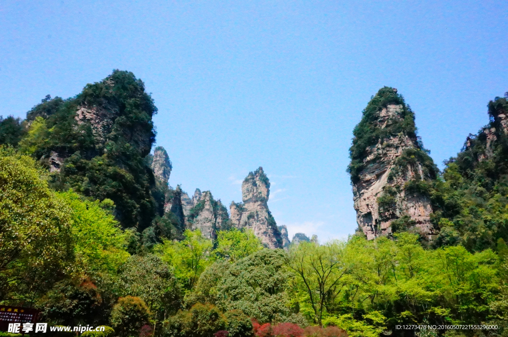 山景